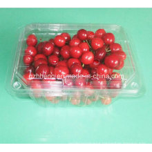 Custom Transparent Clear Plastic Food Container (PET tray)